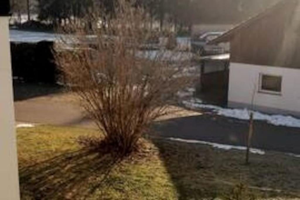 Ferienwohnung Zur Dicken Berta Wolfegg Extérieur photo