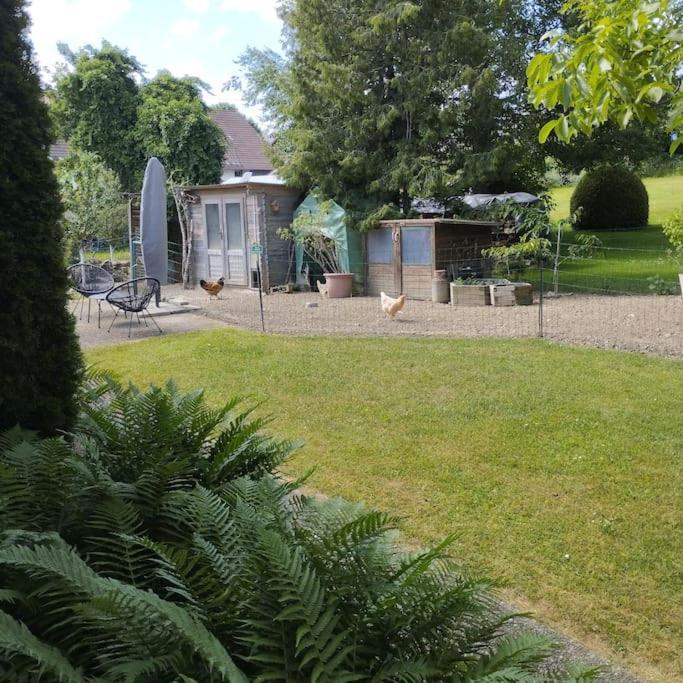 Ferienwohnung Zur Dicken Berta Wolfegg Extérieur photo